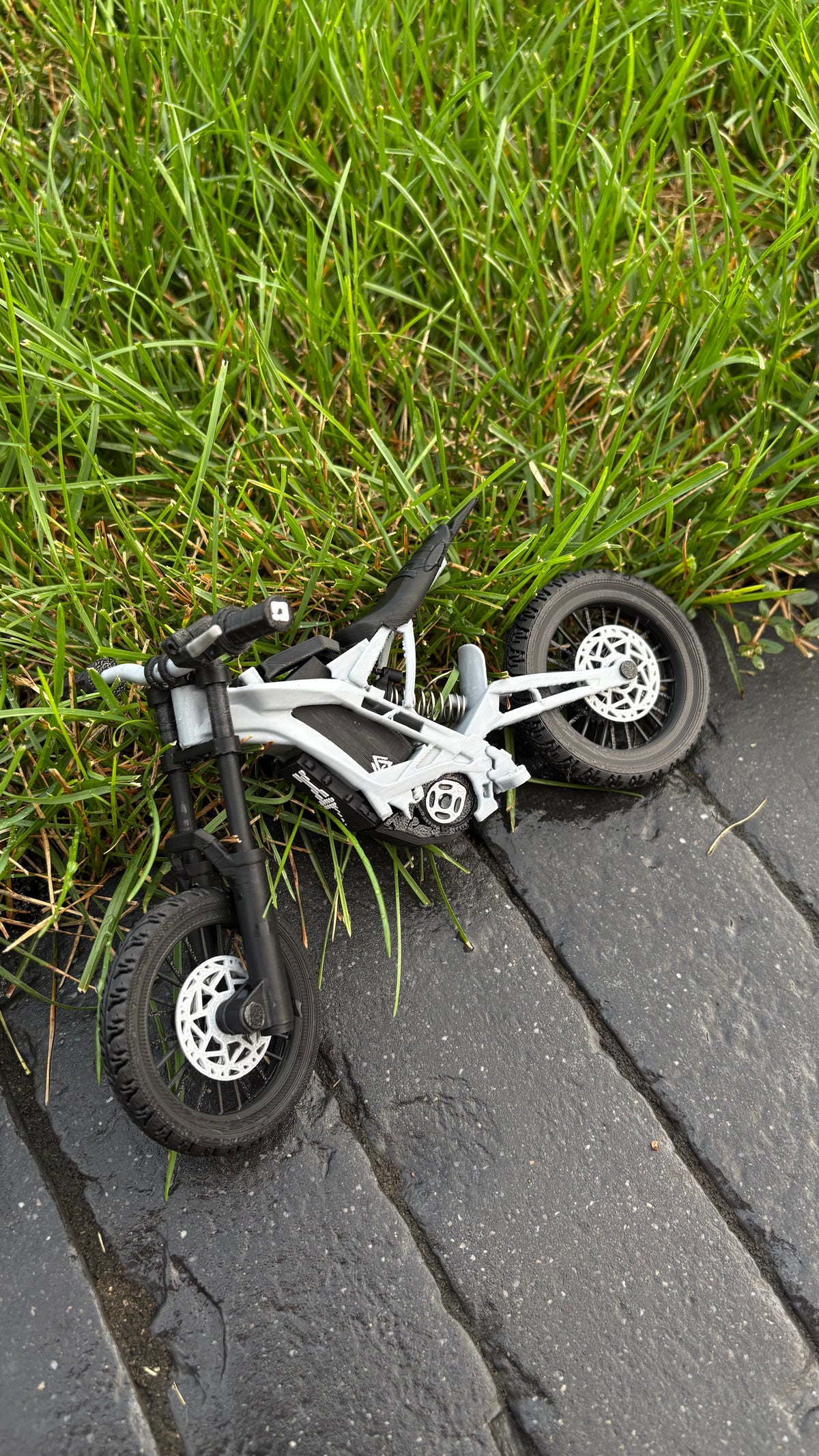 Mini Eride Pro ss